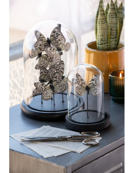 Cloche décorative Papillons Hauteur 26 cm en Verre Noir Blanc Papillora - 2