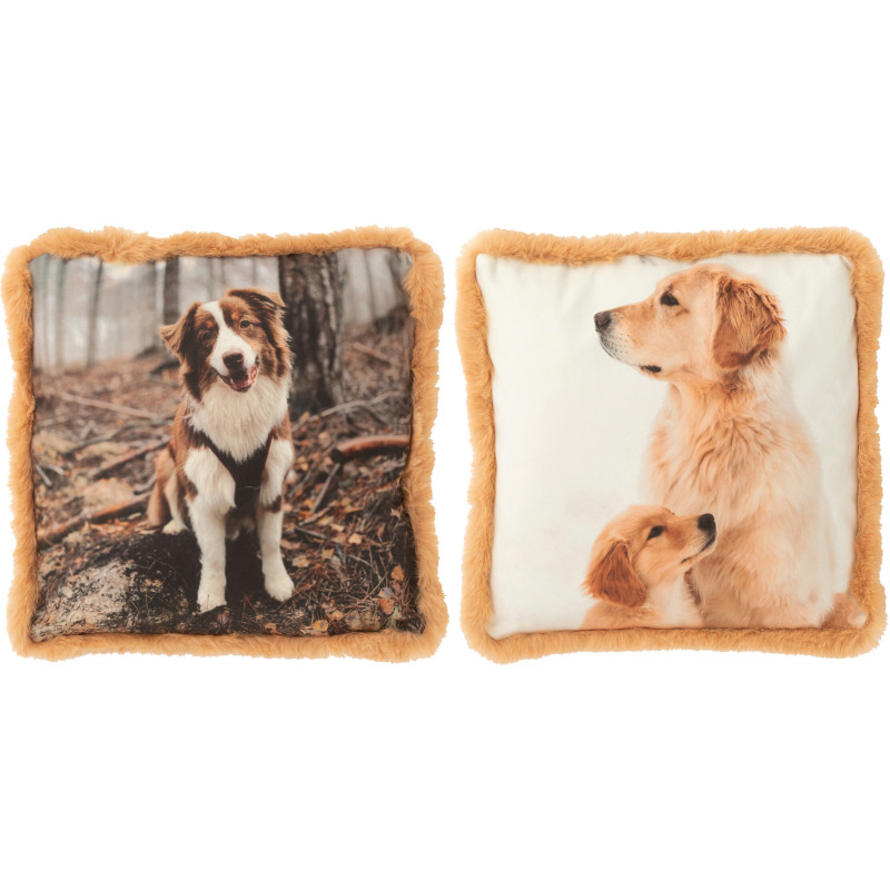 Coussin original Chien Carré 40x40 en Tissu Marron Beige Avec franges Wildora (Lot de 2) - 1