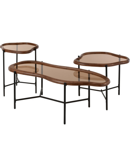 Grande Table basse moderne Organique en Bois Marron Verre Ambré Métal Noir Zir - 9