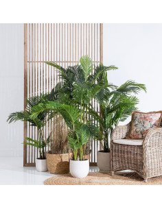 Grand Palmier artificiel réaliste Hauteur 170 cm en Plastique Vert Moha - 2