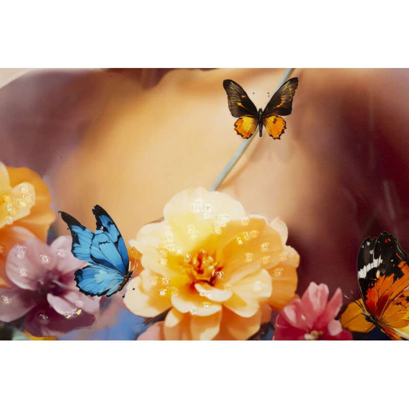 Toile murale peinte claire Femme Papillons 62x92 avec cadre doré Marty 