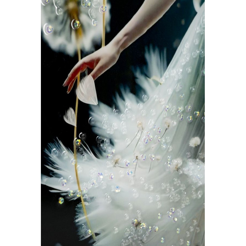 Grande toile murale peinte Danseuse pissenlits bras baissés 72x102 avec cadre argenté Dancing 