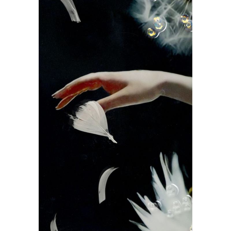 Grande toile murale peinte Danseuse pissenlits bras levés 72x102 avec cadre argenté Dancing 