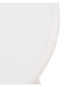 Table basse de jardin Ovale Polypropylène Métal Blanc Zilor - 1 2