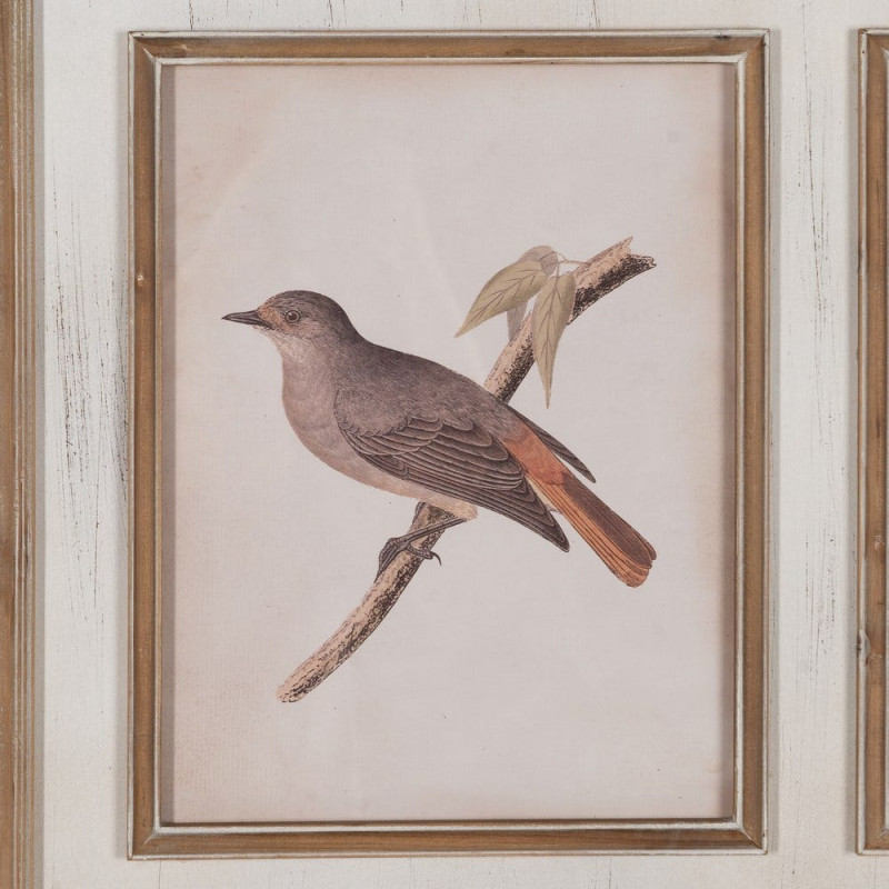 Tableau mural imprimé sous verre 4 Oiseaux Cadre Bois de sapin naturel 72x88 Navek 