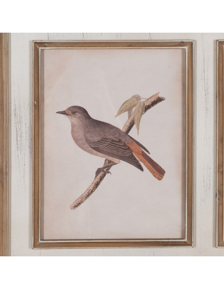 Tableau mural imprimé sous verre 4 Oiseaux Cadre Bois de sapin naturel 72x88 Navek 