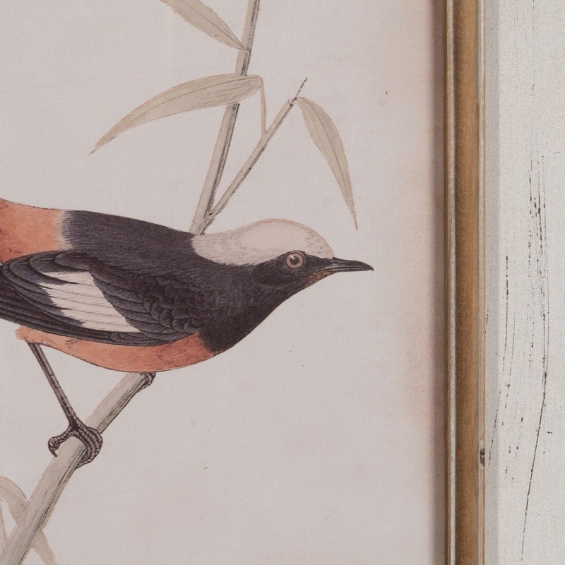 Tableau mural imprimé sous verre 4 Oiseaux Cadre Bois de sapin naturel 72x88 Navek 