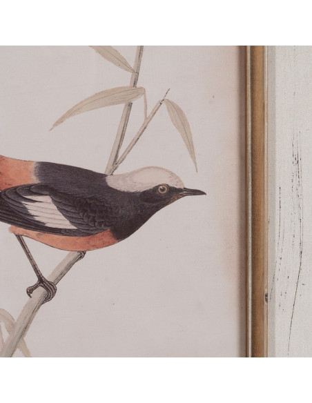 Tableau mural imprimé sous verre 4 Oiseaux Cadre Bois de sapin naturel 72x88 Navek 