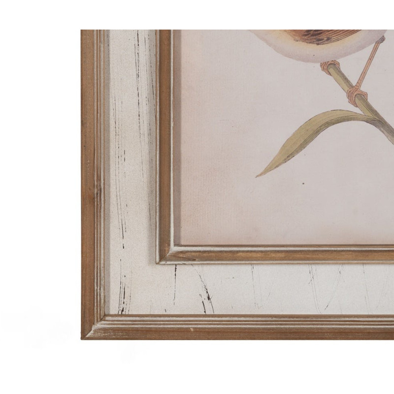 Tableau mural imprimé sous verre 4 Oiseaux Cadre Bois de sapin naturel 72x88 Navek 