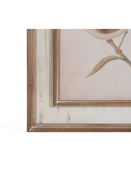 Tableau mural imprimé sous verre 4 Oiseaux Cadre Bois de sapin naturel 72x88 Navek 