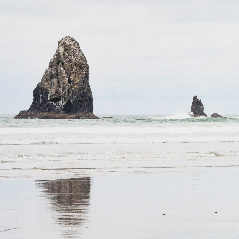 Tableau mural imprimé Paysages de plage Cadre MDF effet hêtre Hasel (Lot de 2) 