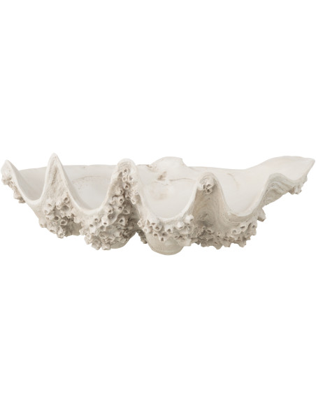 BOL DECO COQUILLAGE RES BLA S (52x28x18cm) 