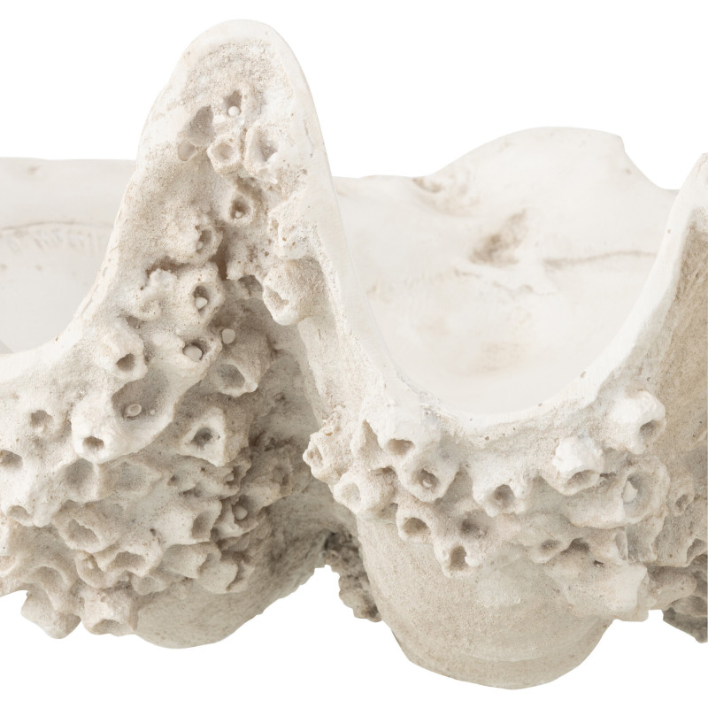 BOL DECO COQUILLAGE RES BLA S (52x28x18cm) 