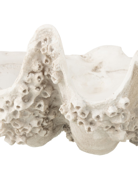 BOL DECO COQUILLAGE RES BLA S (52x28x18cm) 