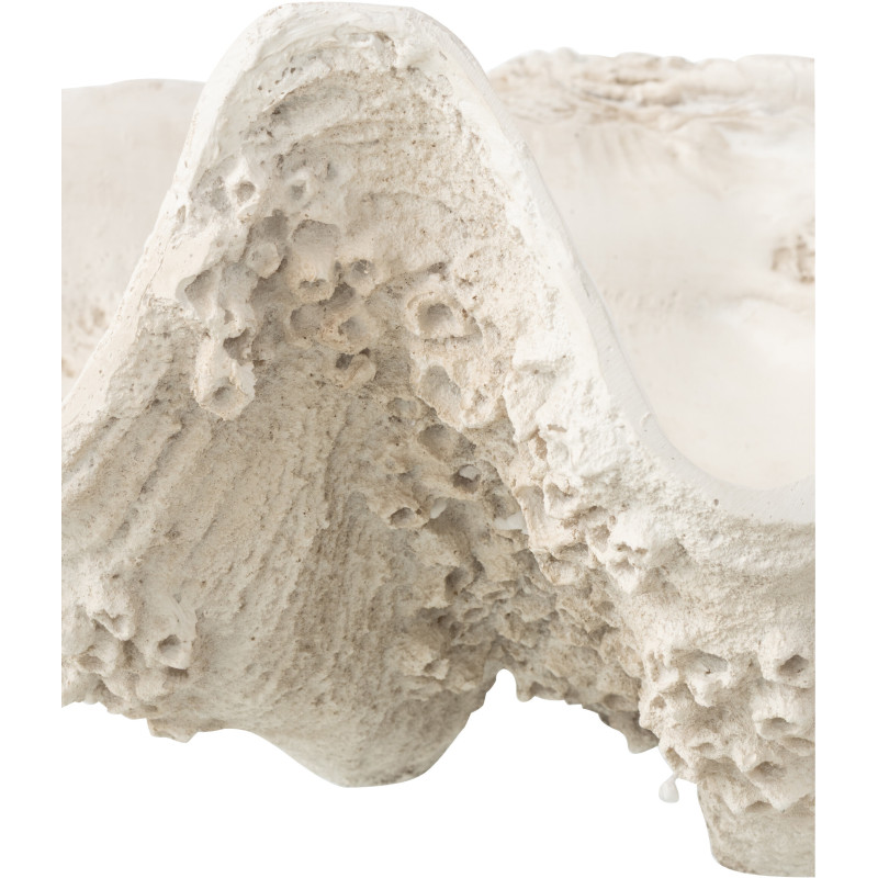 BOL DECO COQUILLAGE RES BLA L (68x41x23cm) 