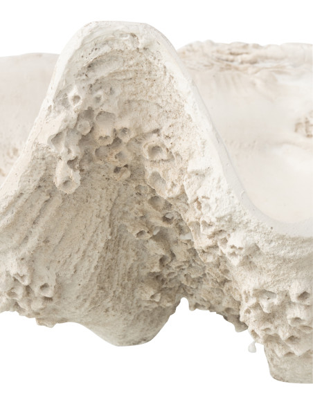 BOL DECO COQUILLAGE RES BLA L (68x41x23cm) 