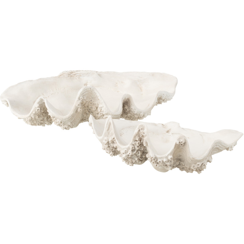 BOL DECO COQUILLAGE RES BLA L (68x41x23cm) 