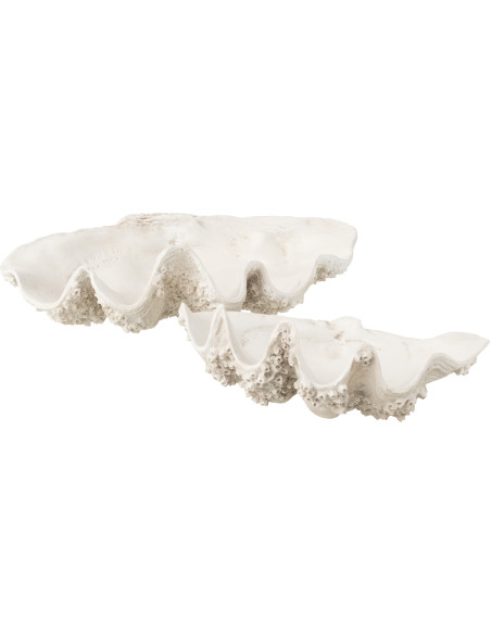 BOL DECO COQUILLAGE RES BLA L (68x41x23cm) 