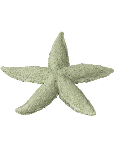 ÉTOILE DE MER POLYRÉSINE MNT S (20x20x3cm) 