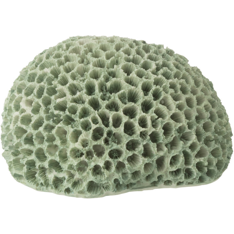 CORAIL POLYRÉSINE MNT S (16x13x9cm) 