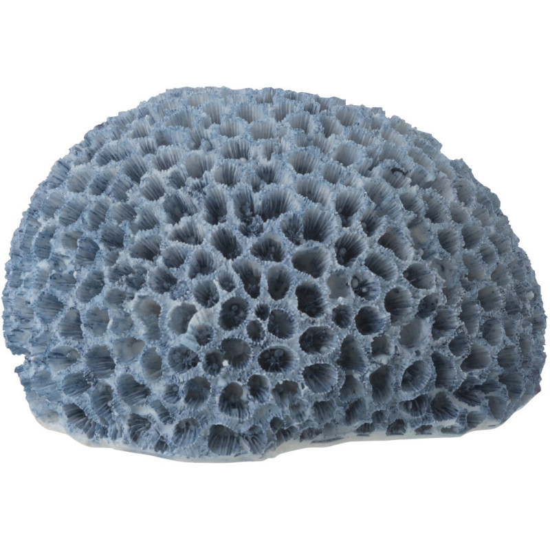 CORAIL POLYRÉSINE BLEU CLAIR S (16x13x9cm) 
