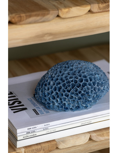 CORAIL POLYRÉSINE BLEU CLAIR S (16x13x9cm) 