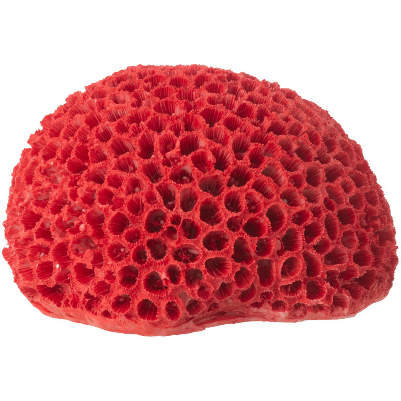 CORAIL POLYRÉSINE ROUGE SMALL (16x13x9cm) 