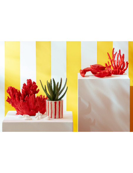 Crabe décoratif bord de mer 19 cm Résine Rouge Sea J-Line - 2