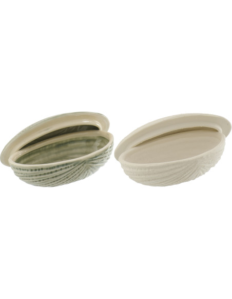 BTE COQUIL GRÈ BLA/OLI ASS2 (14,4x7,5x5,5cm) 