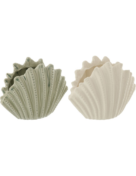 VASE COQUIL GRÈ BLA/OLI L ASS2 (19,2x10x15cm) 