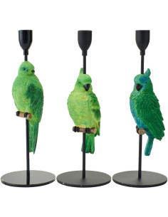 CHAND BASE PERROQ VT/BL ASS3 (10x10x32cm) 