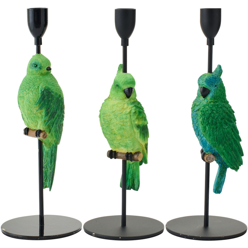 CHAND BASE PERROQ VT/BL ASS3 (10x10x32cm) 