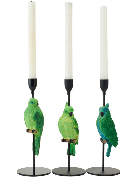 CHAND BASE PERROQ VT/BL ASS3 (10x10x32cm) 