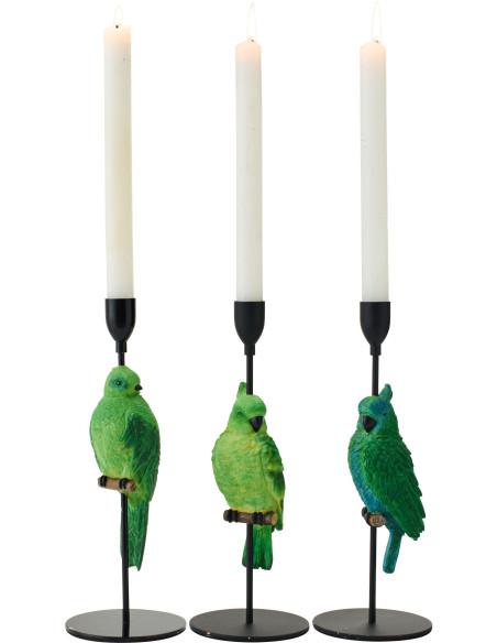 CHAND BASE PERROQ VT/BL ASS3 (10x10x32cm) 