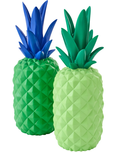 ANANAS POUD CHAUX VRT/BL ASS2 (14x14x38cm) 