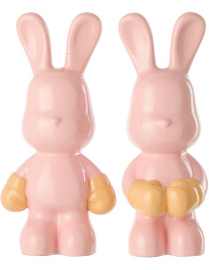 LAP RAY BOX ROS/ABR ASS2 (16,5x13x36cm) 