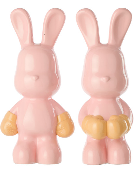 LAP RAY BOX ROS/ABR ASS2 (16,5x13x36cm) 