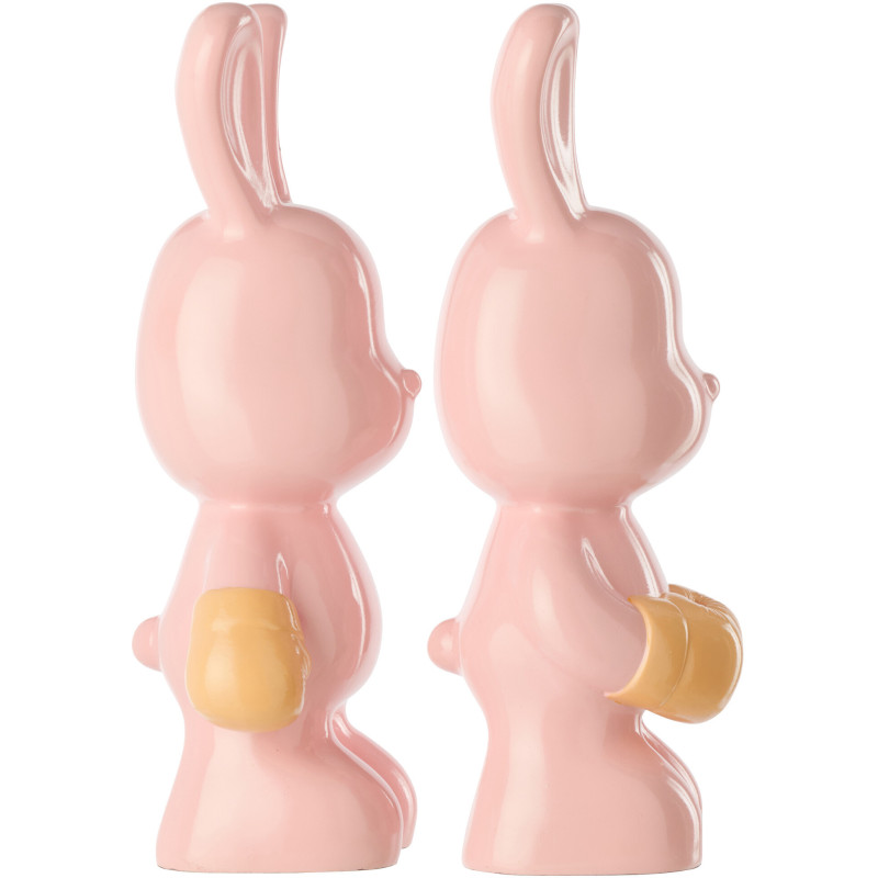 LAP RAY BOX ROS/ABR ASS2 (16,5x13x36cm) 