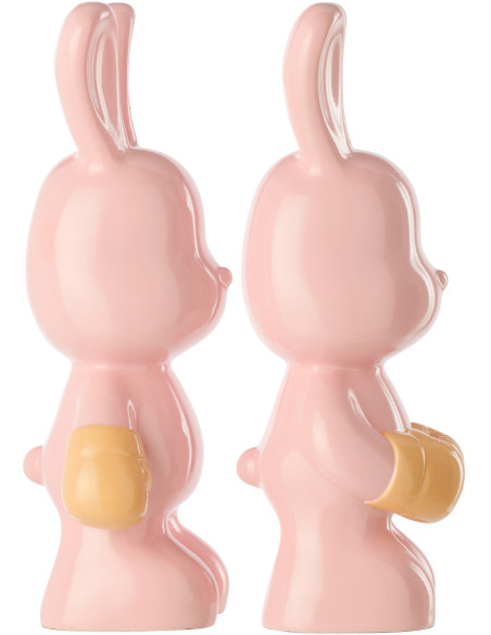 LAP RAY BOX ROS/ABR ASS2 (16,5x13x36cm) 