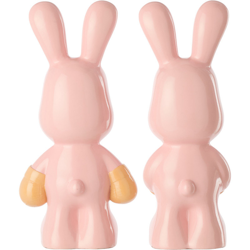 LAP RAY BOX ROS/ABR ASS2 (16,5x13x36cm) 