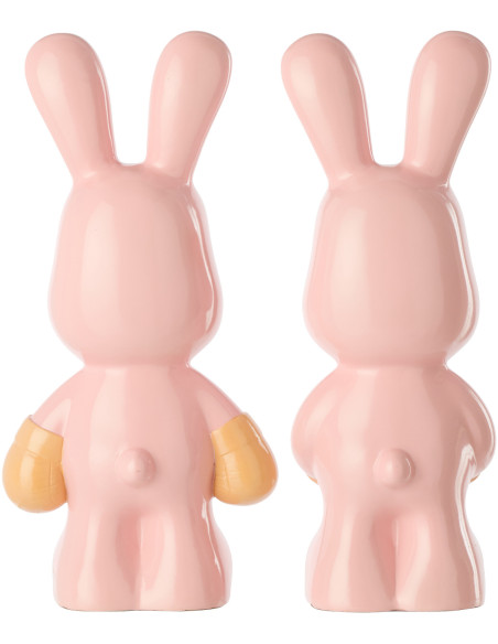 LAP RAY BOX ROS/ABR ASS2 (16,5x13x36cm) 