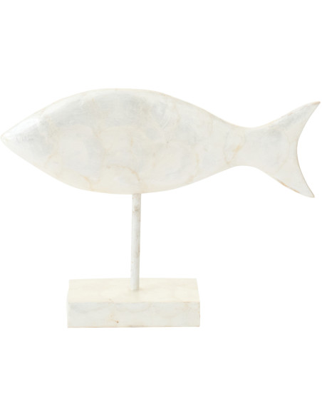 POISSON COQUILLAGE ALBA BLA S (20x8x28cm) 