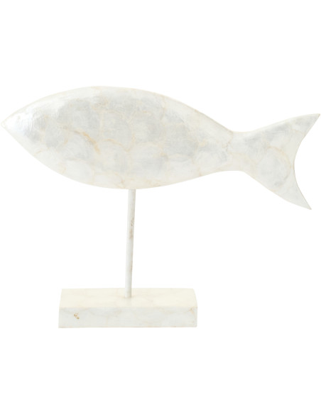 POISSON COQUILLAGE ALBA BLA L (20x8x38cm) 