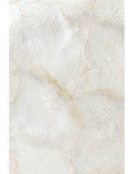 POISSON COQUILLAGE ALBA BLA L (20x8x38cm) 