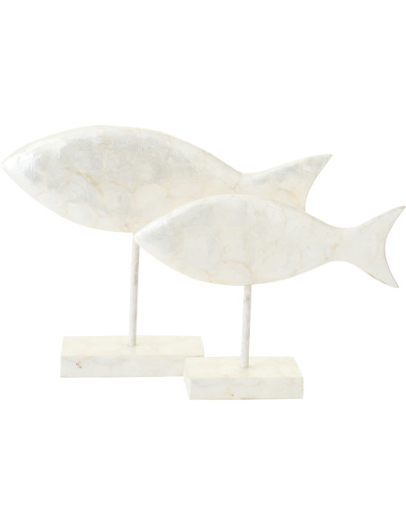 POISSON COQUILLAGE ALBA BLA L (20x8x38cm) 