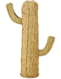 CACTUS HERBE NATUREL SMALL (40x17x70cm) 