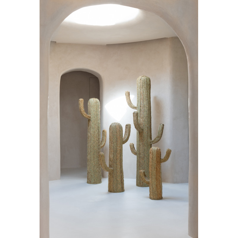 CACTUS HERBE NATUREL SMALL (40x17x70cm) 