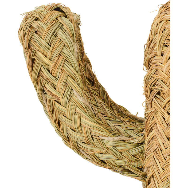 CACTUS HERBE NATUREL SMALL (40x17x70cm) 