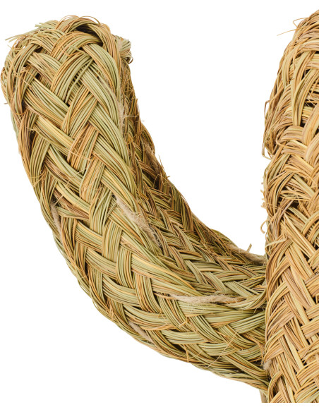 CACTUS HERBE NATUREL SMALL (40x17x70cm) 