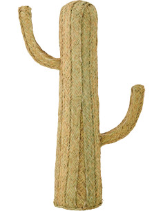 CACTUS HERBE NATUREL MEDIUM (60x22x105cm) 